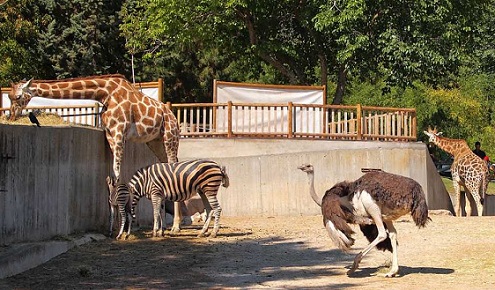 Zoos in Washington DC