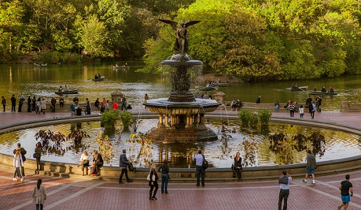 Best 5 Free and Fun Things to Do in Central Park New York City