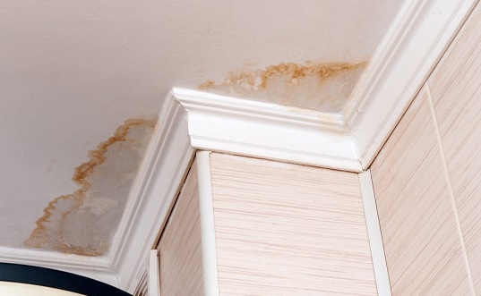 10 Signs of Water Leakage in the Wall