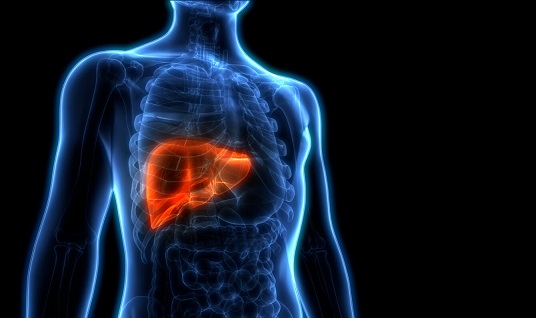 Unveiling the Hidden Hero - Researchers challenge traditional understanding of liver cancer